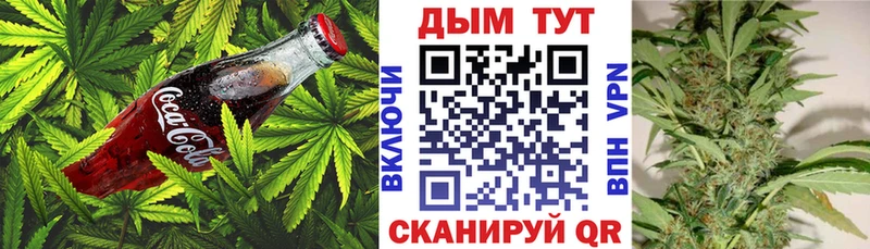 Canna-Cookies конопля  как найти наркотики  Дюртюли 