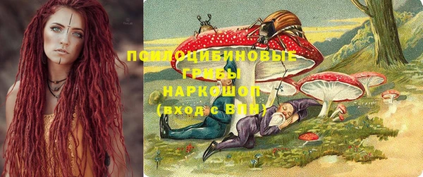 дживик Арсеньев