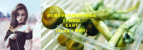 спайс Аркадак