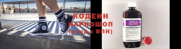 дживик Арсеньев