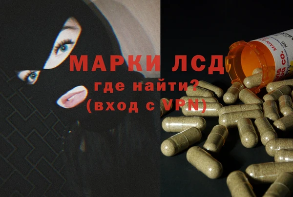 спайс Аркадак