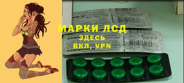 спайс Аркадак