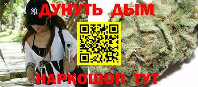 стаф Каменск-Шахтинский