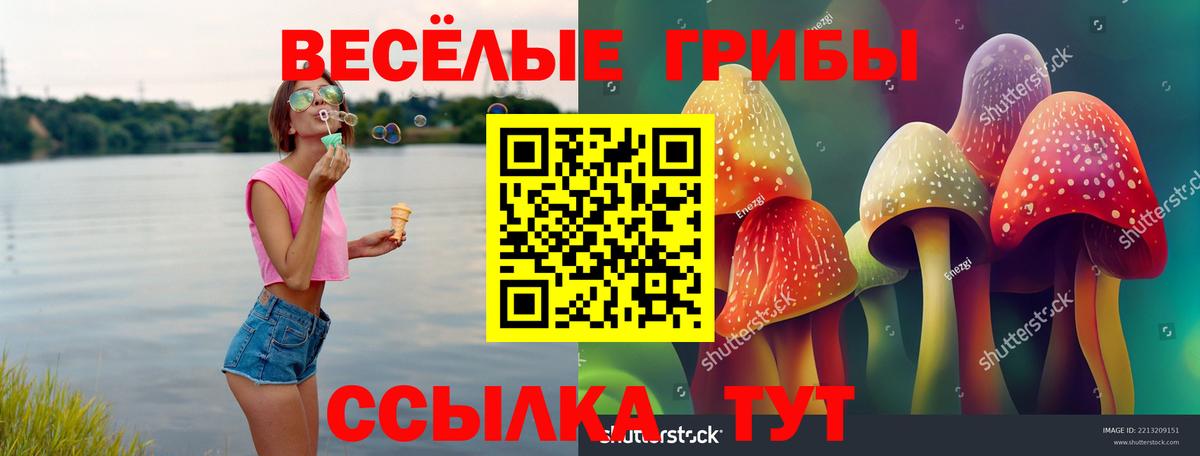 Псилоцибиновые грибы Magic Shrooms Дюртюли